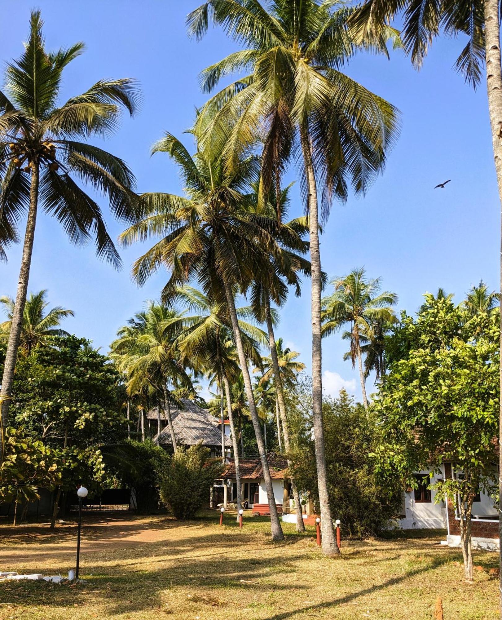 Baycliff Cottages Варкала Екстер'єр фото
